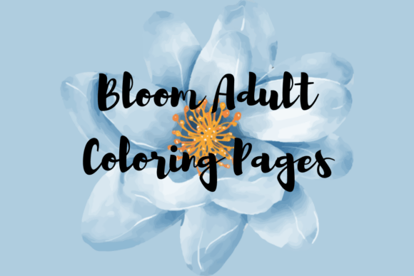 Bloom Adult Coloring Pages I KDP: A Journey of Mindfulness and Creativity